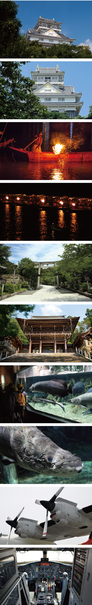 TOURIST SPOTS AROUND GIFU CASTLE INN